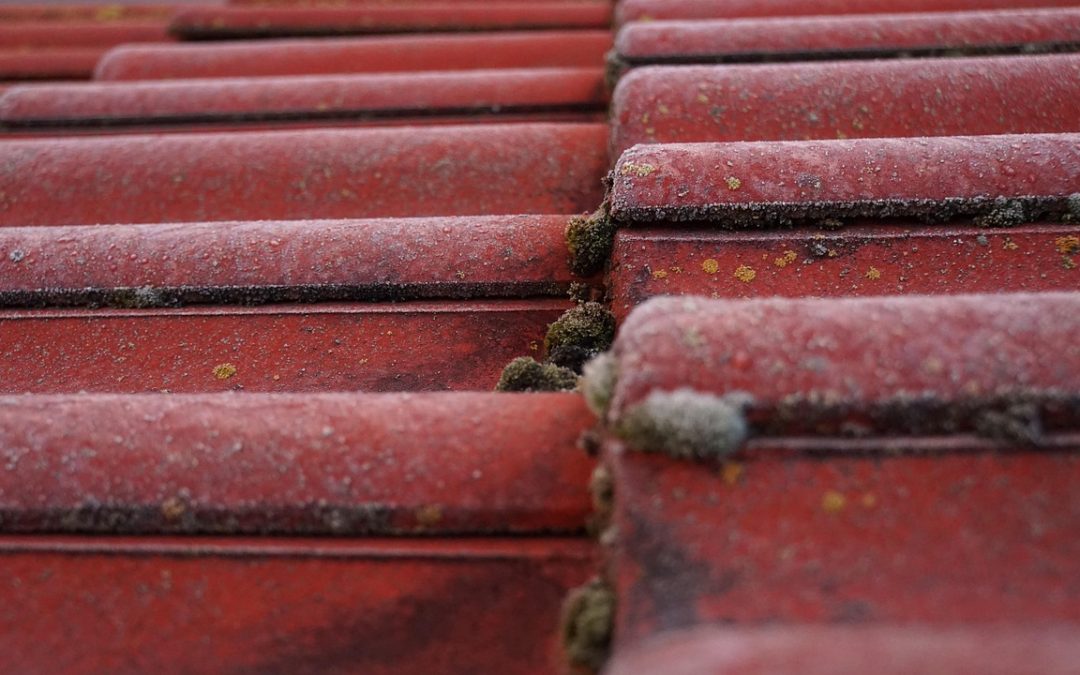 Hur lång tid tar det att lägga om ett tak?