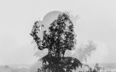 Vad är skillnaden mellan introvert och blyg?